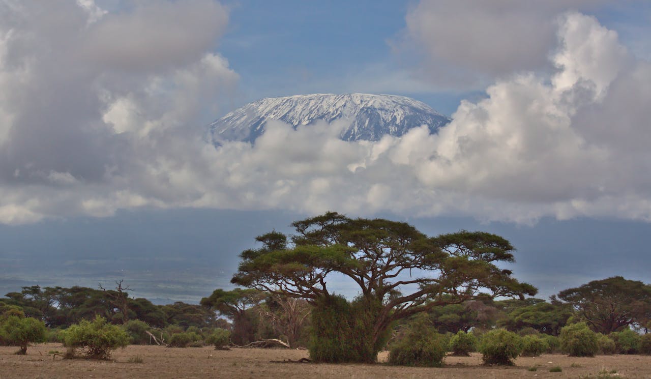 Cost Breakdown of Kilimanjaro Climb and Safari