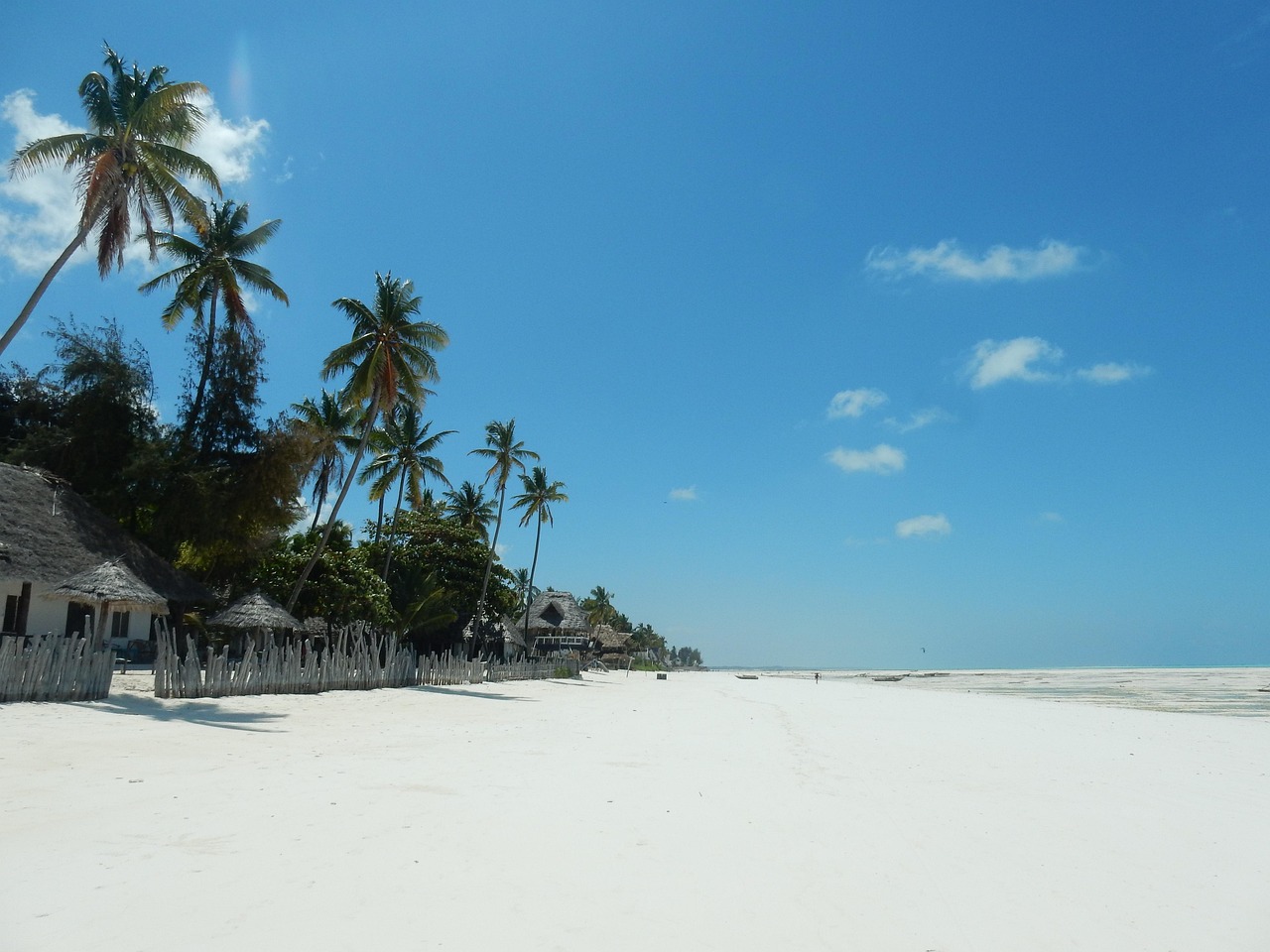 HONEYMOON SAFARI AND ZANZIBAR