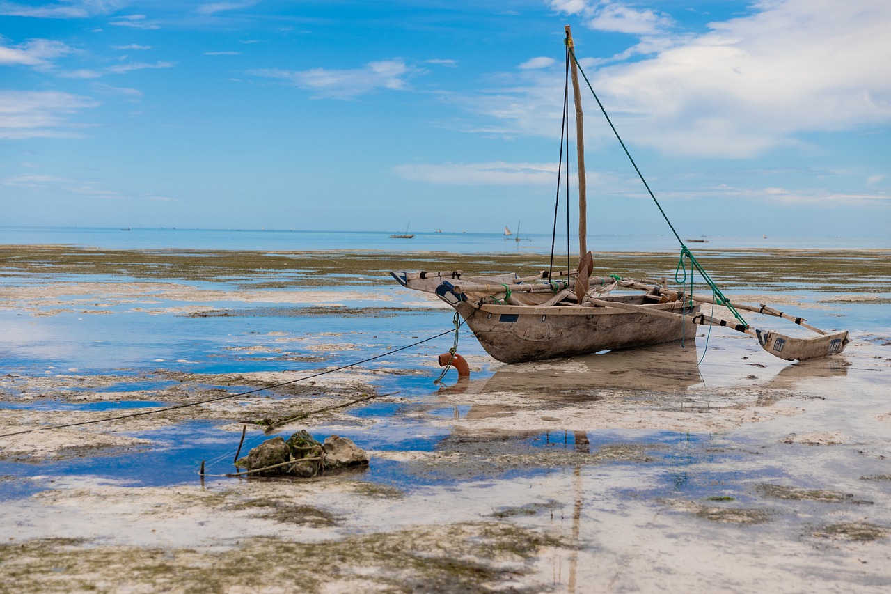FAMILY SAFARI FROM ZANZIBAR