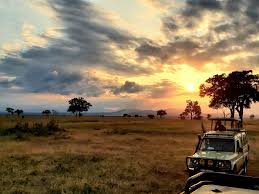 Group Kilimanjaro Trekking Tours