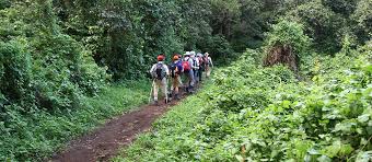 tanzania budget safari