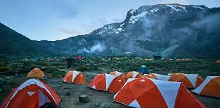 Kilimanjaro Base Camps Overview
