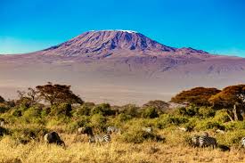 Luxury Safari and Kilimanjaro Cost