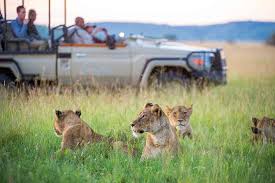 eco tourism tanzania safari