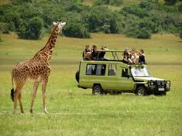 Exclusive Tanzania Safari
