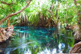 Day Trip to Chemka Hot Springs (Kikuletwa Hot Springs)