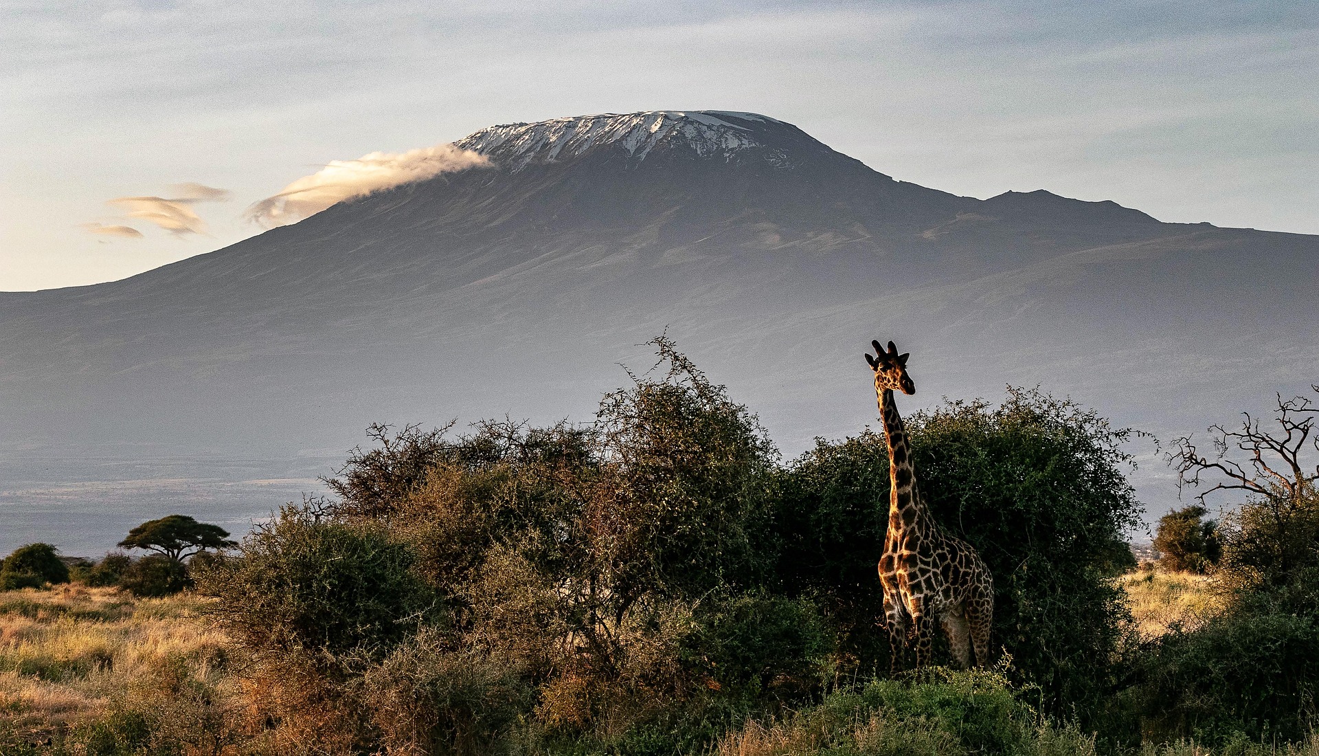 herbert2512 africa 4058720 1920 (2)