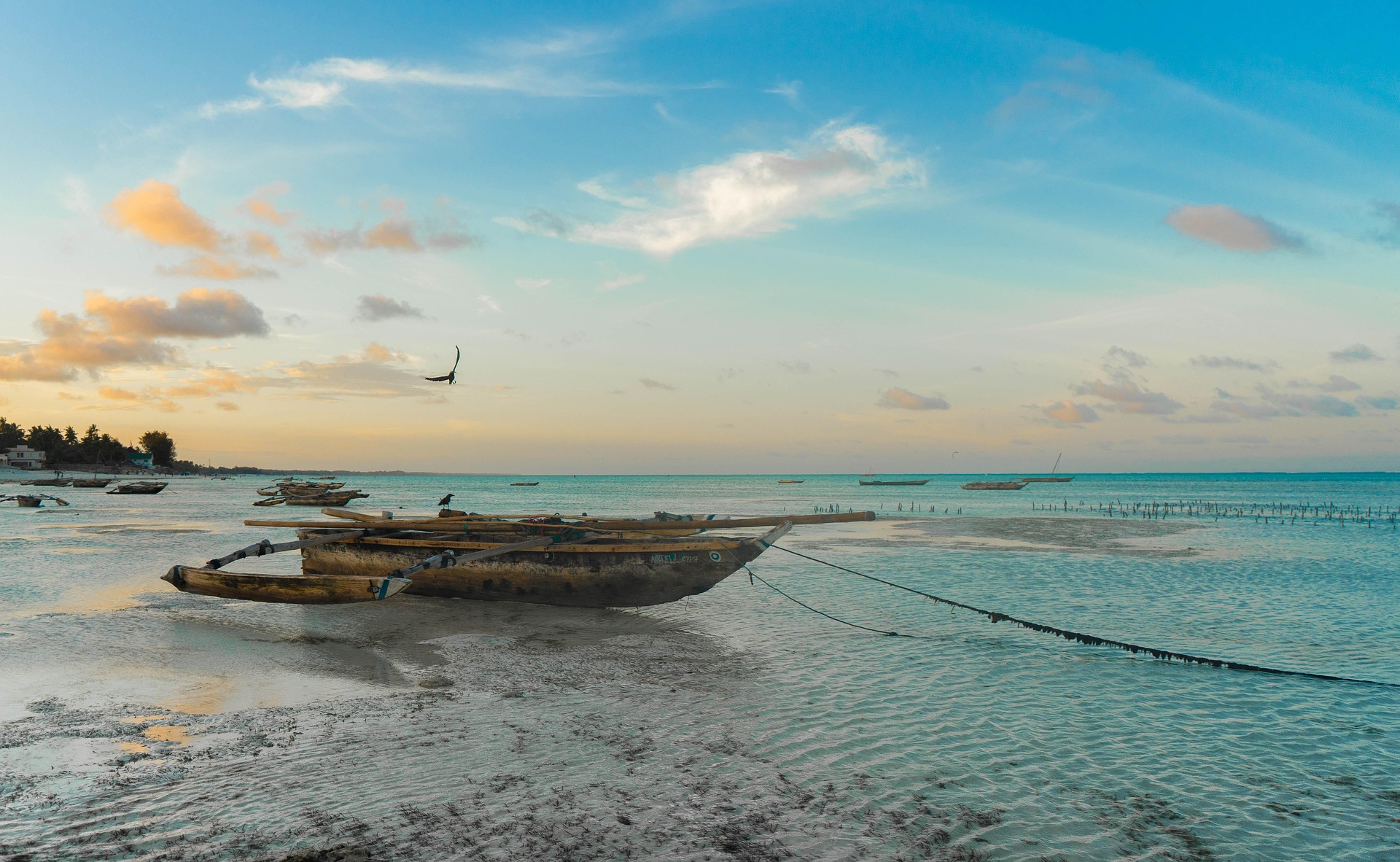 Things to Do in Zanzibar in 5 Days