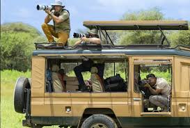 Things to Do in Moshi Tanzania
