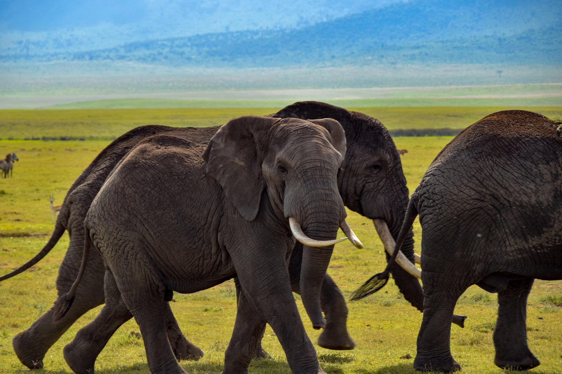 Day Trip Tarangire National Park